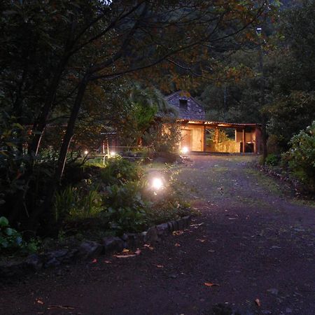 Nature Retreat - Laurel Forest سيكسال المظهر الخارجي الصورة
