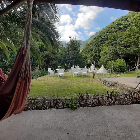 Nature Retreat - Laurel Forest سيكسال المظهر الخارجي الصورة
