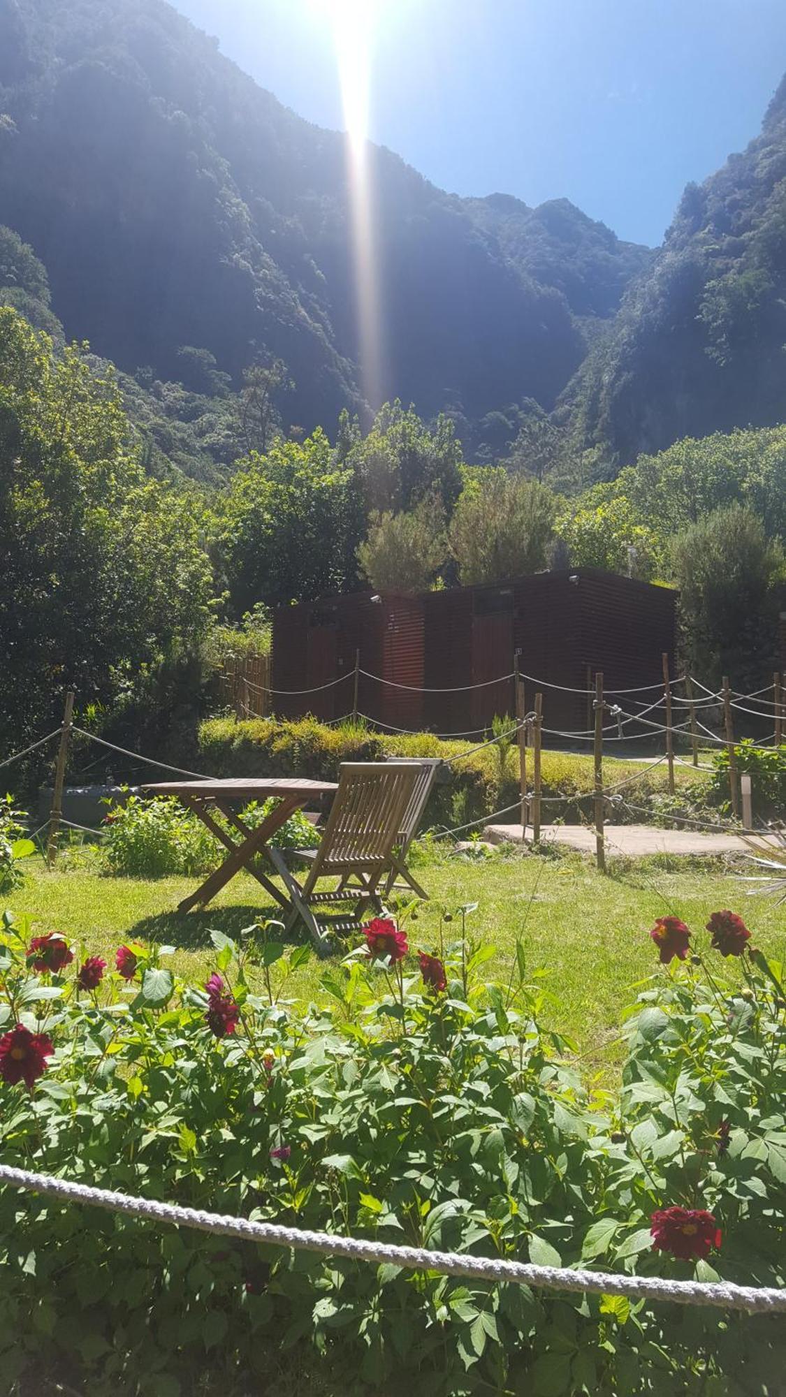 Nature Retreat - Laurel Forest سيكسال المظهر الخارجي الصورة