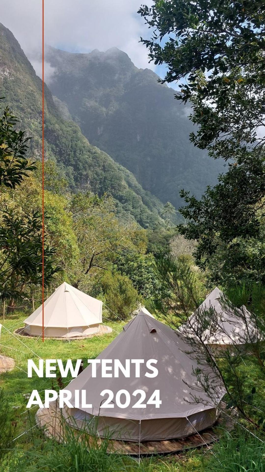 Nature Retreat - Laurel Forest سيكسال المظهر الخارجي الصورة