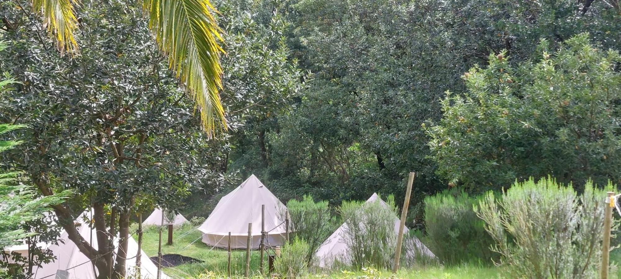 Nature Retreat - Laurel Forest سيكسال المظهر الخارجي الصورة