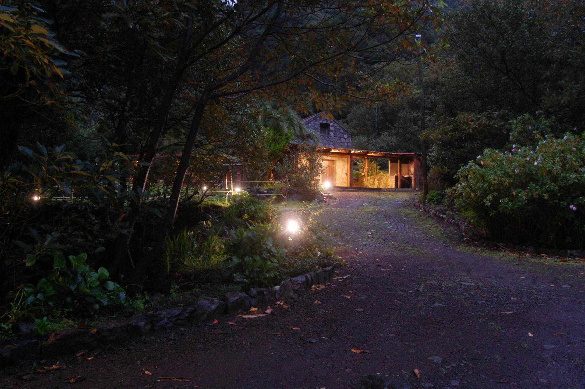 Nature Retreat - Laurel Forest سيكسال المظهر الخارجي الصورة