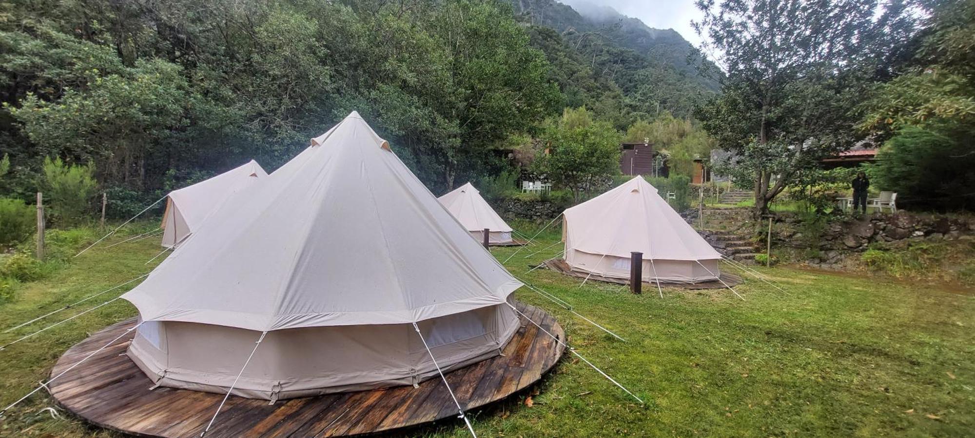 Nature Retreat - Laurel Forest سيكسال المظهر الخارجي الصورة