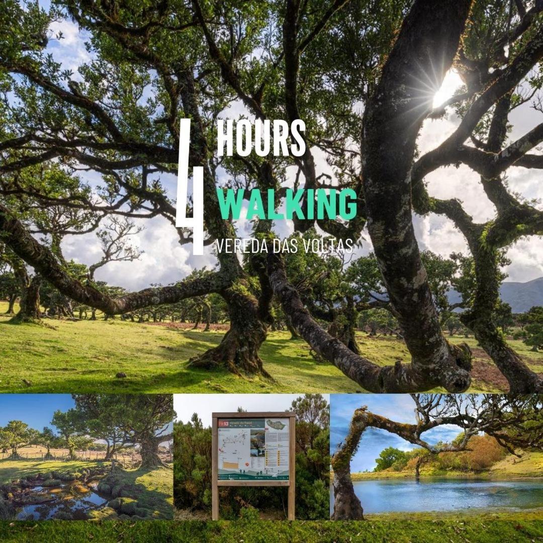 Nature Retreat - Laurel Forest سيكسال المظهر الخارجي الصورة