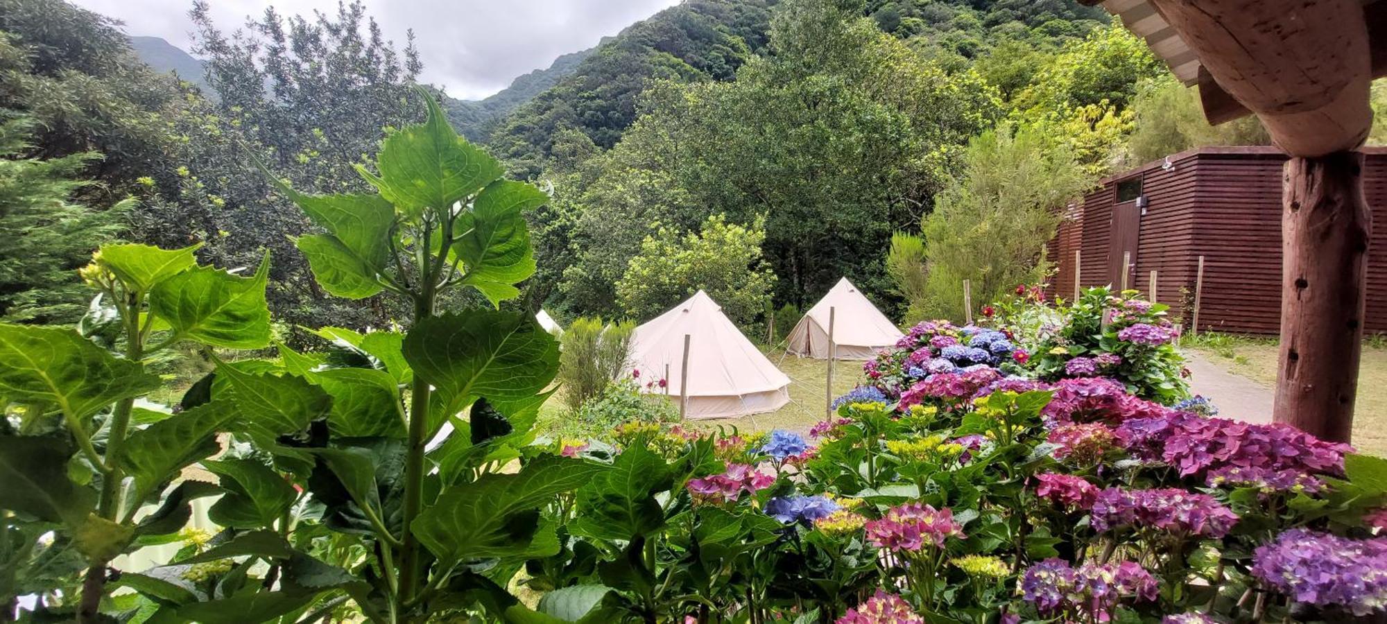Nature Retreat - Laurel Forest سيكسال المظهر الخارجي الصورة