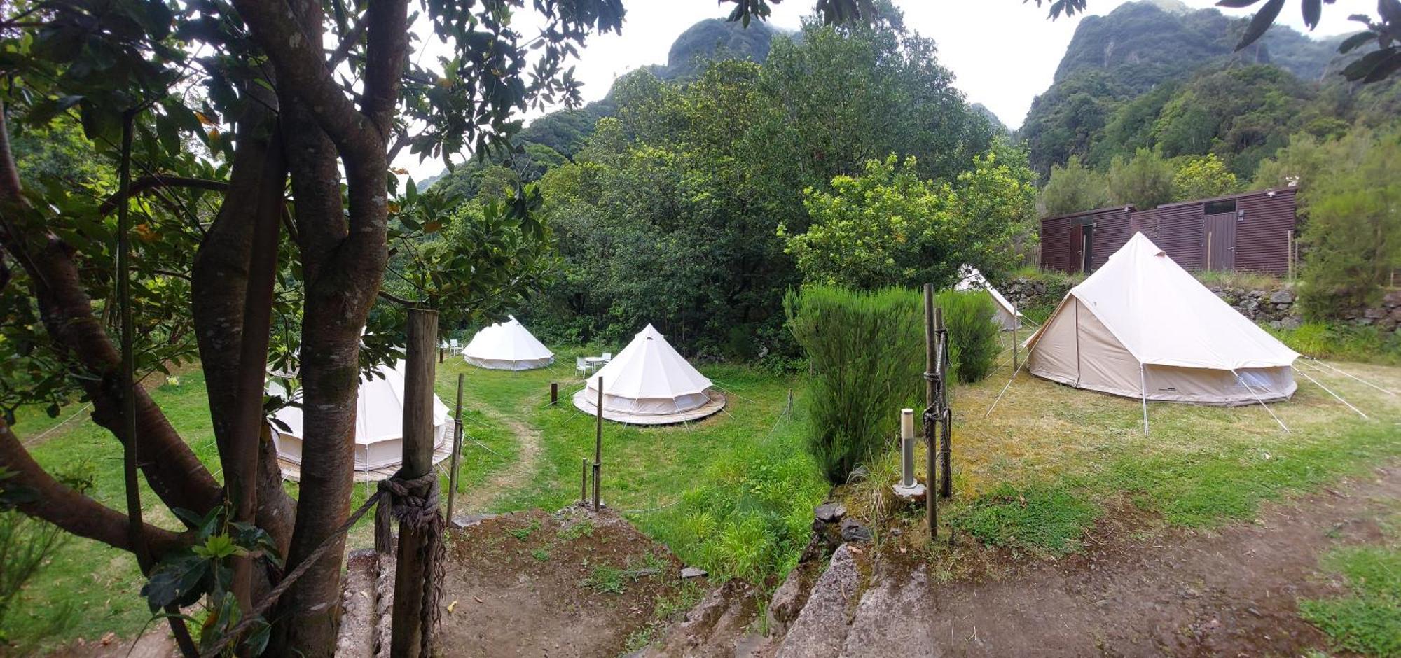 Nature Retreat - Laurel Forest سيكسال المظهر الخارجي الصورة